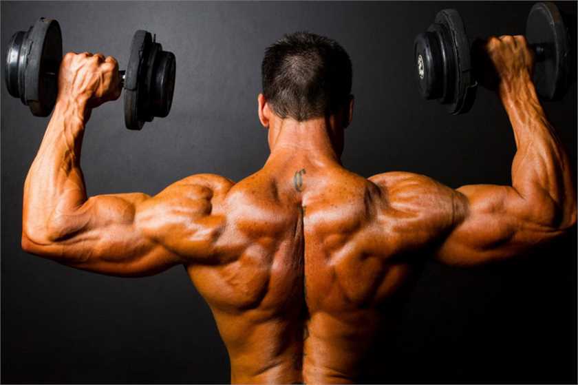 Top 5 Real Muscle Enhancement Methods